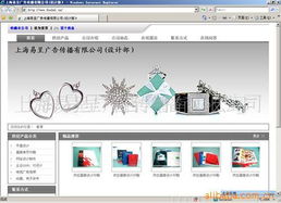 网店装修 网站模版 网站设计